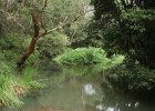 ANZAC Bush Walk